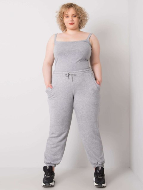 Spodnie dresowe RV-DR-6331.86 szary 3XL