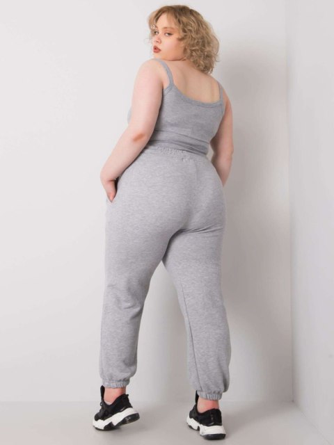 Spodnie dresowe RV-DR-6331.86 szary 3XL
