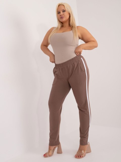 Spodnie dresowe RV-DR-6643.95 brązowy 4XL
