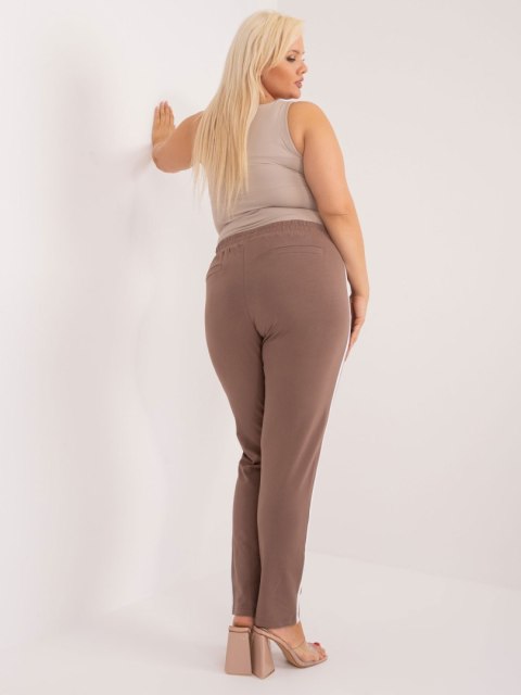 Spodnie dresowe RV-DR-6643.95 brązowy 4XL